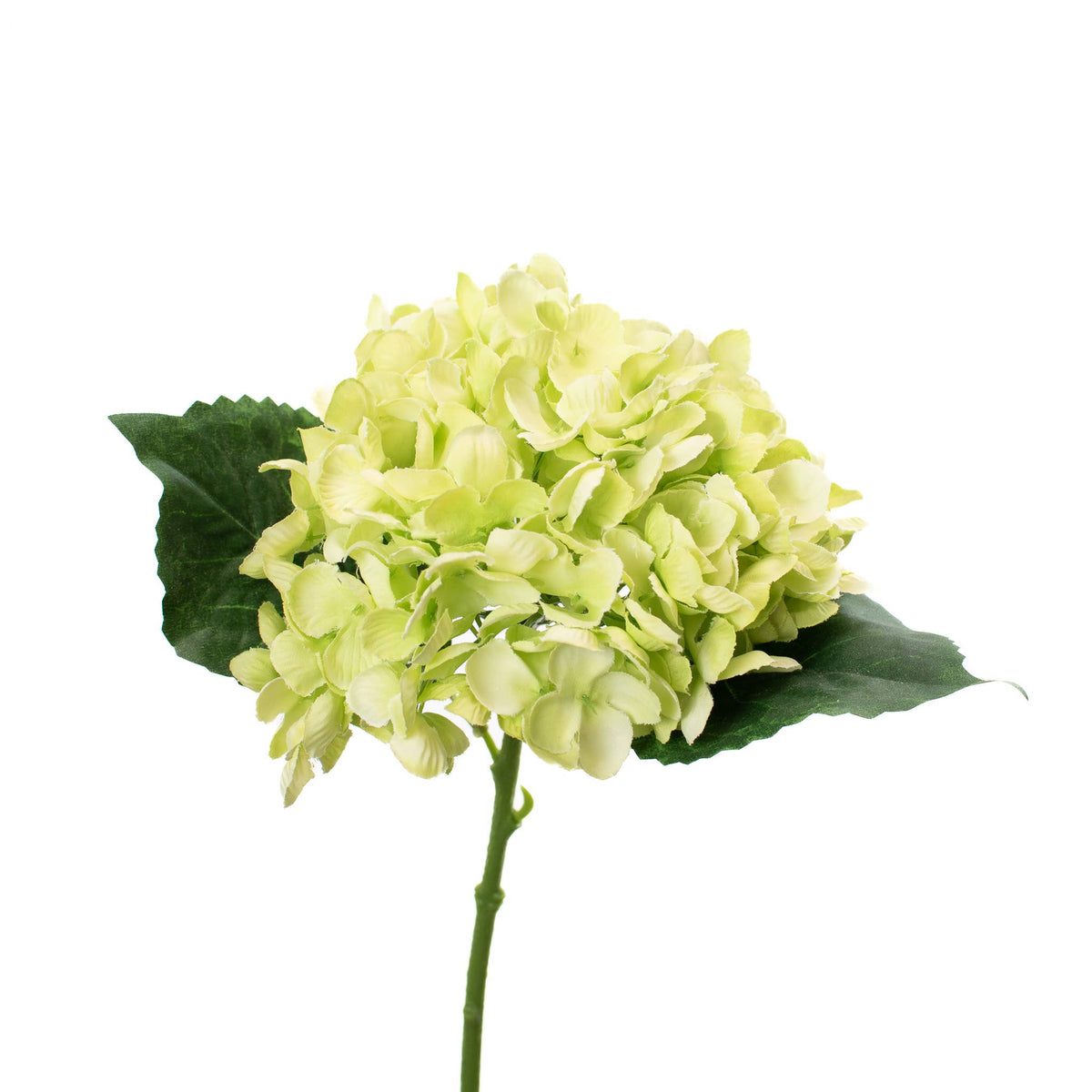 Hydrangea Pick Limelight Green - 13 Inch