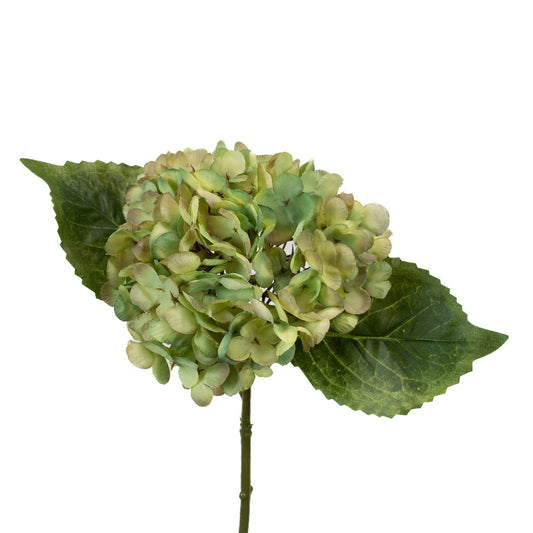 Hydrangea Pick Light Green Purple - 13 Inch